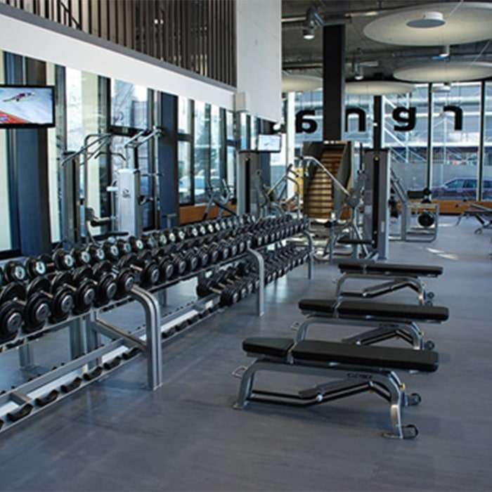 PaviGym Fitness Tile products PaviGym Fitness