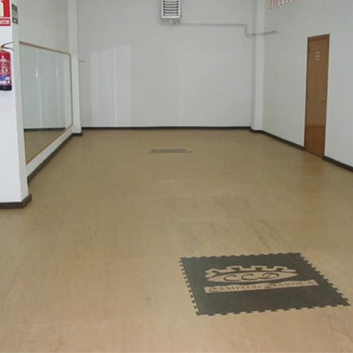 Pavigym Group-X Tile products Pavigym X Tile